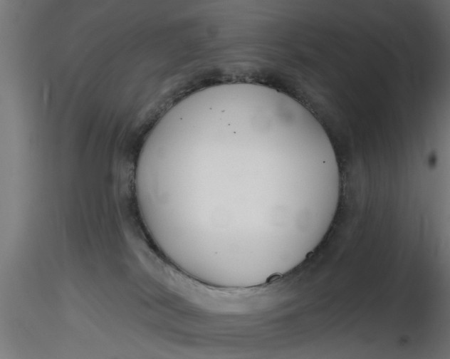 X0000116850038201001051515