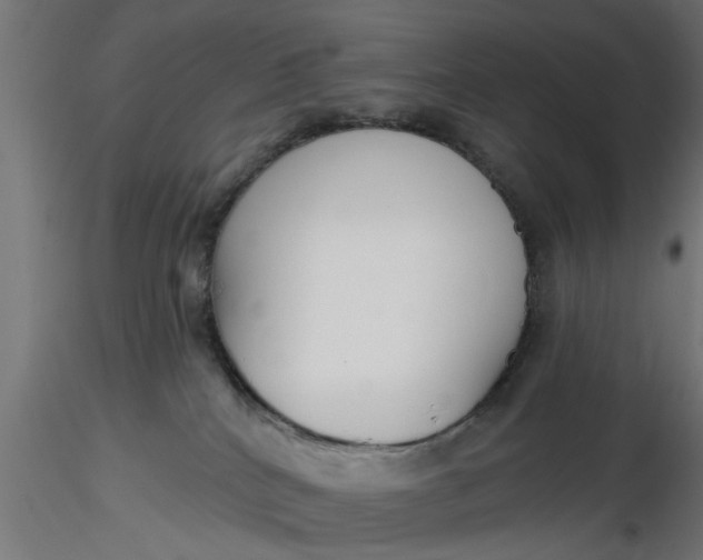 X0000116850040201001051515