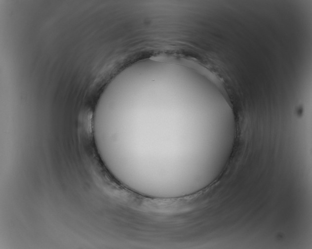 X0000116850041201001051515