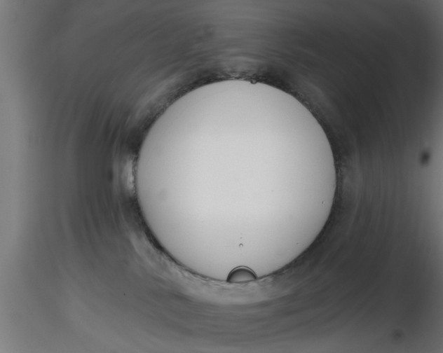 X0000116850042201001051515