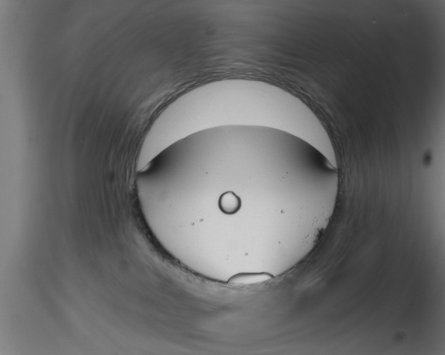 X0000116850043201001051515