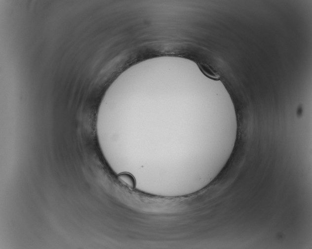 X0000116850044201001051515