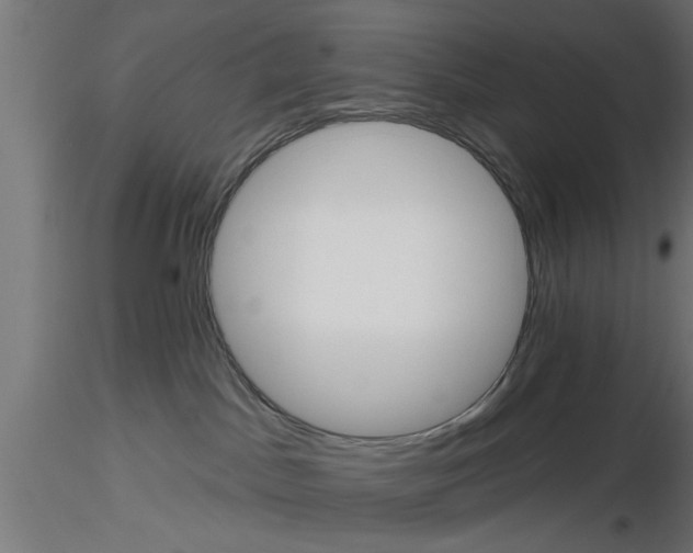 X0000116850045201001051515