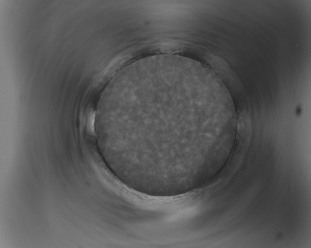 X0000116850046201001051515