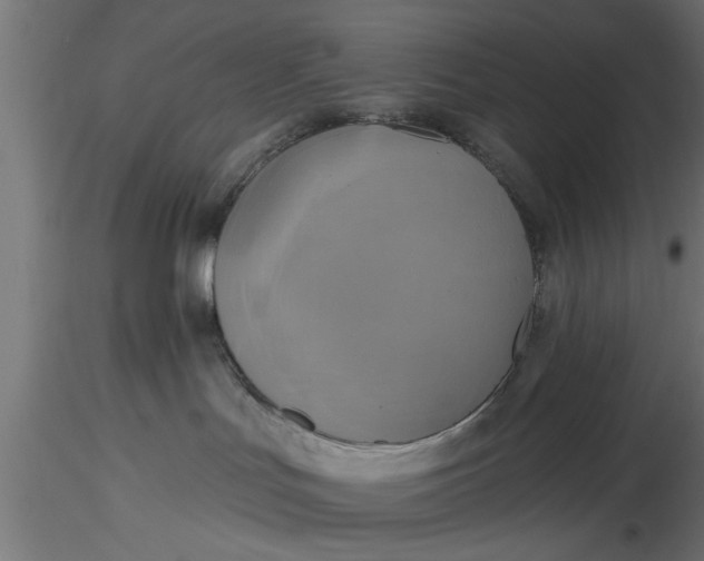 X0000116850047201001051515