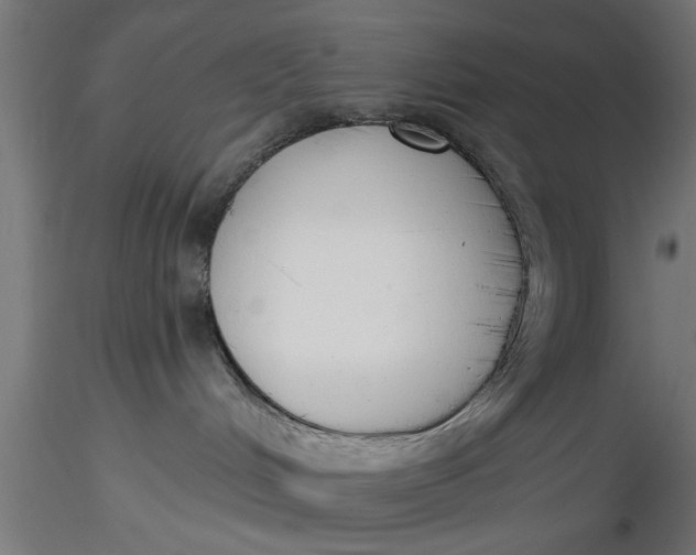 X0000116850048201001051515