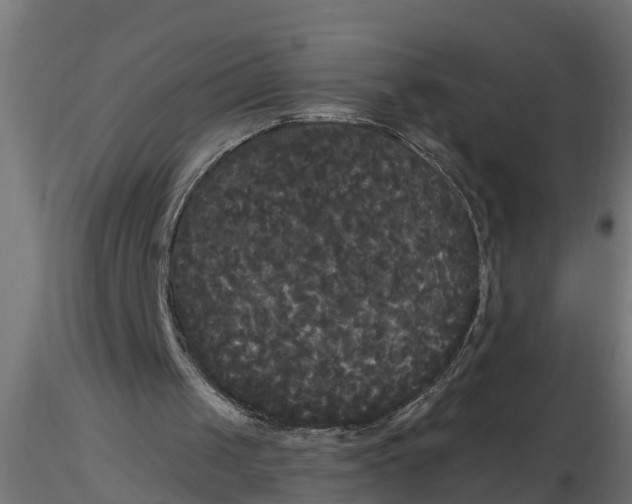 X0000116850049201001051514