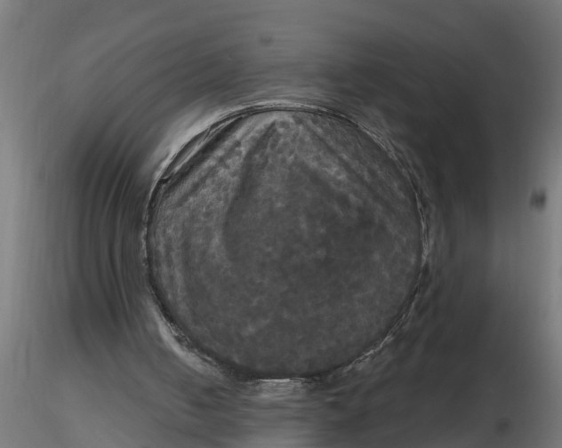 X0000116850050201001051514