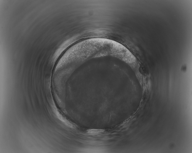 X0000116850051201001051514