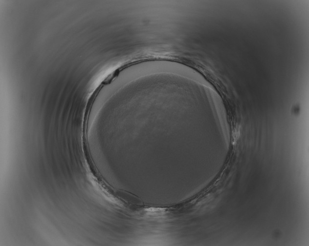 X0000116850052201001051514