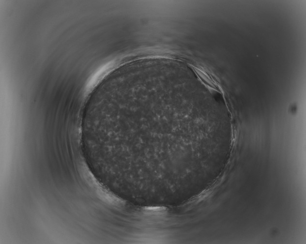 X0000116850053201001051514