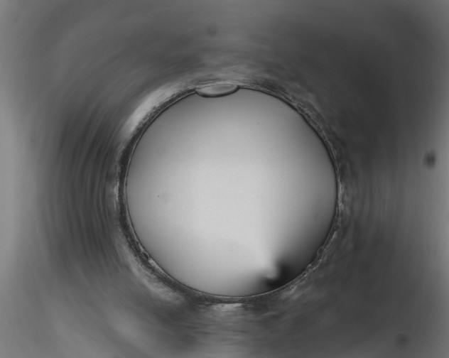 X0000116850054201001051514