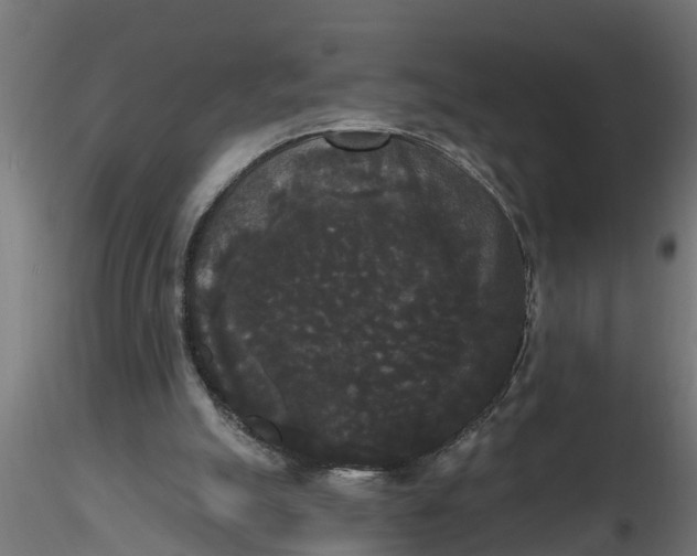 X0000116850055201001051515