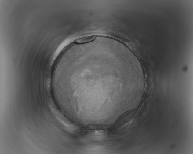 X0000116850056201001051515