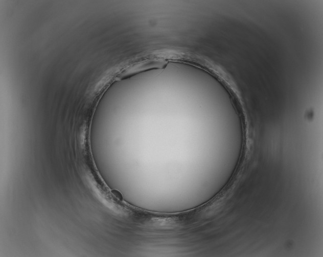 X0000116850057201001051515