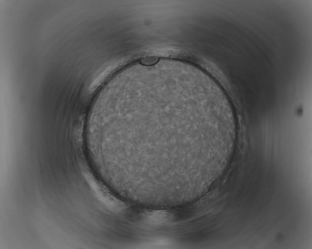 X0000116850058201001051515