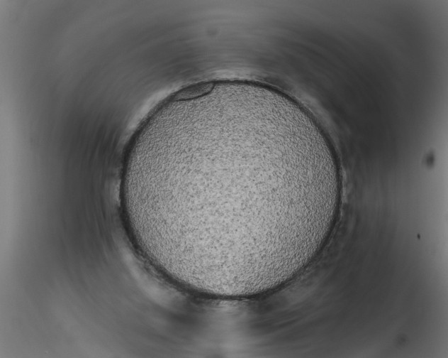 X0000116850060201001051515