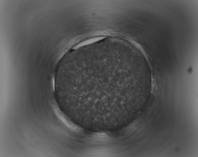 X0000116850061201001051515