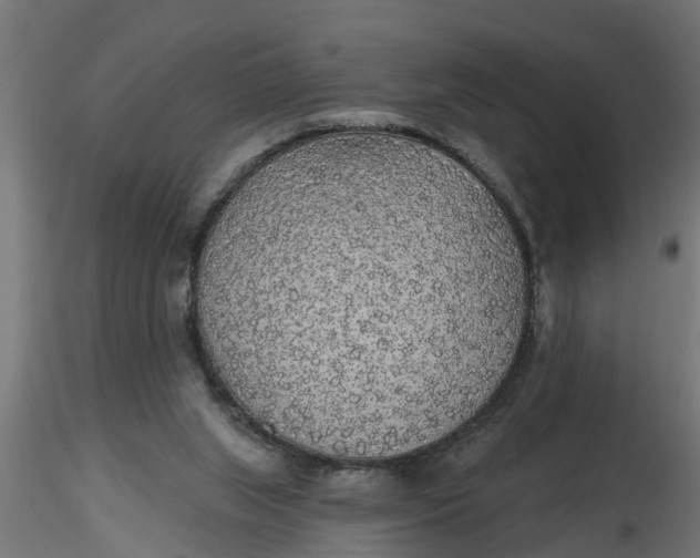 X0000116850063201001051515