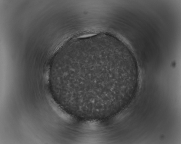 X0000116850065201001051515