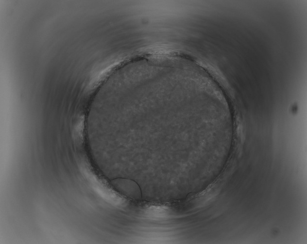 X0000116850066201001051515