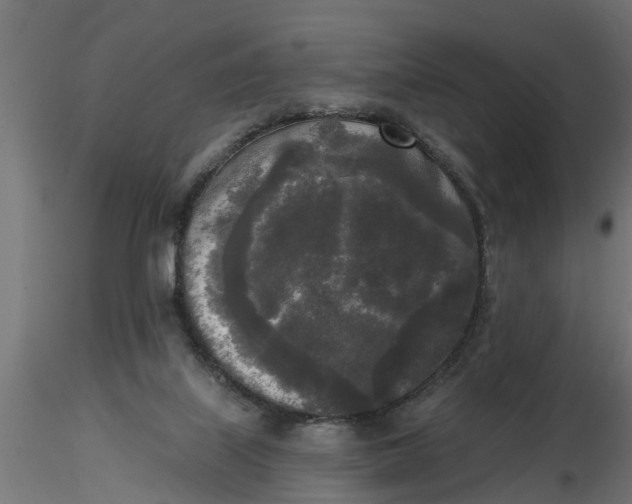 X0000116850067201001051515