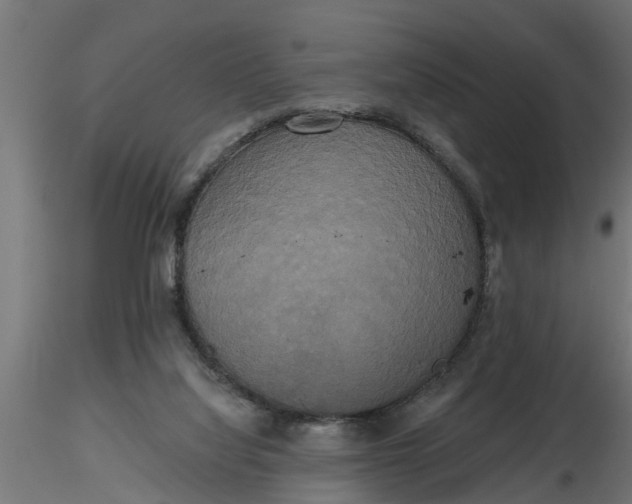 X0000116850068201001051515