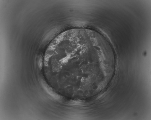 X0000116850069201001051515