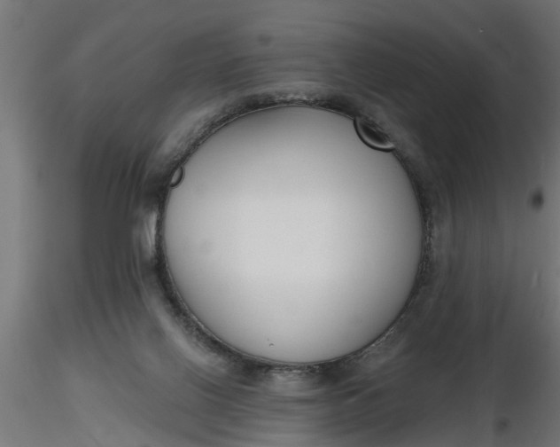 X0000116850070201001051515