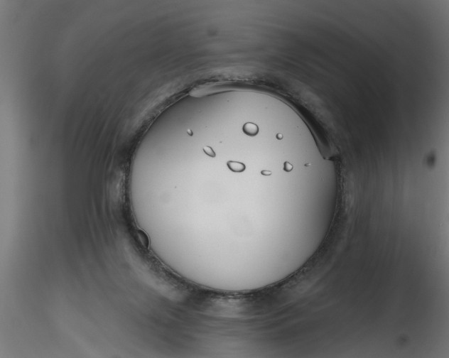 X0000116850071201001051515