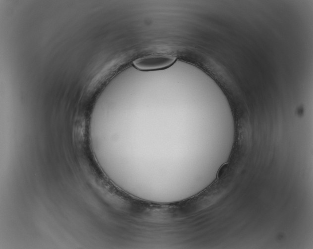 X0000116850072201001051515