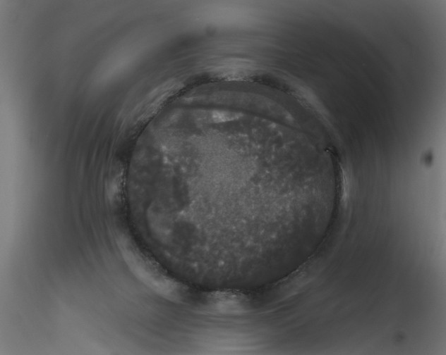 X0000116850073201001051515