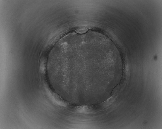 X0000116850074201001051515