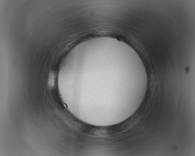 X0000116850075201001051515