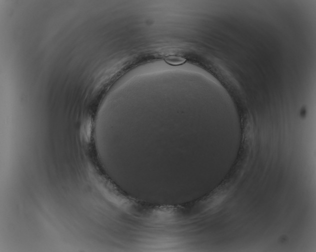 X0000116850076201001051515