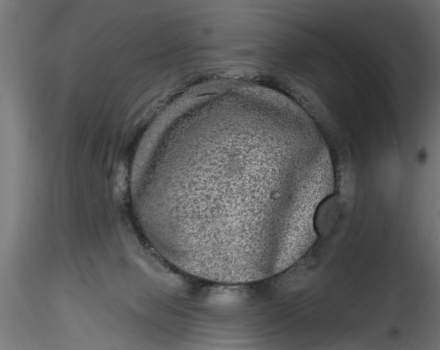 X0000116850077201001051515