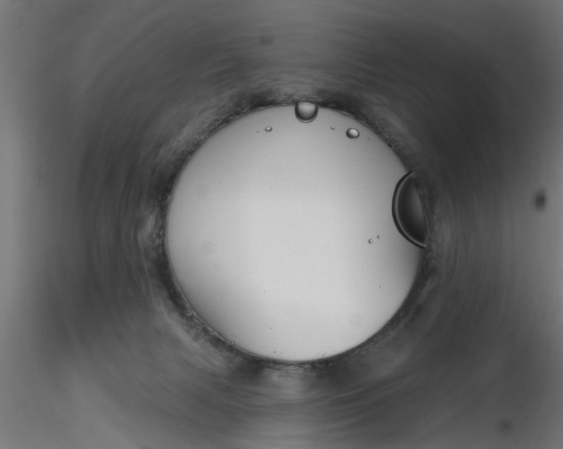 X0000116850079201001051515