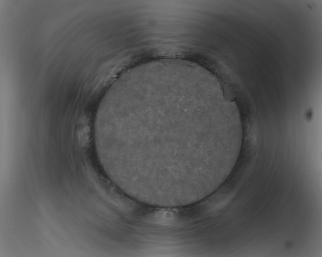 X0000116850080201001051515