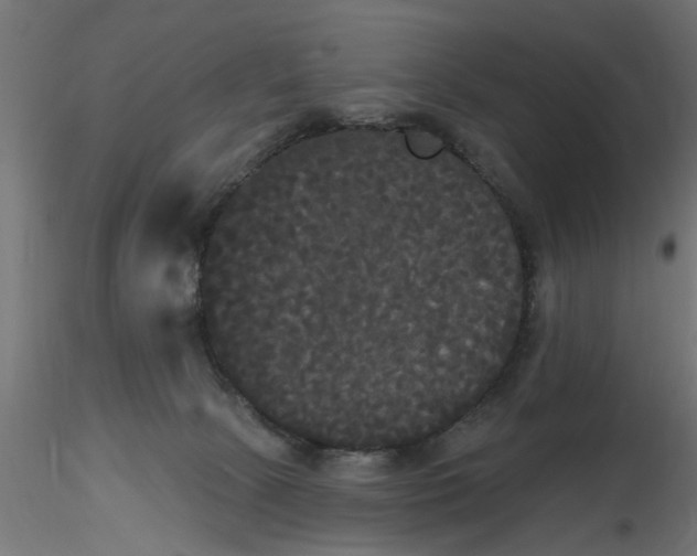 X0000116850081201001051515