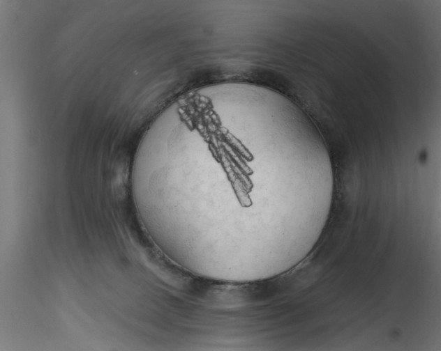 X0000116850082201001051515