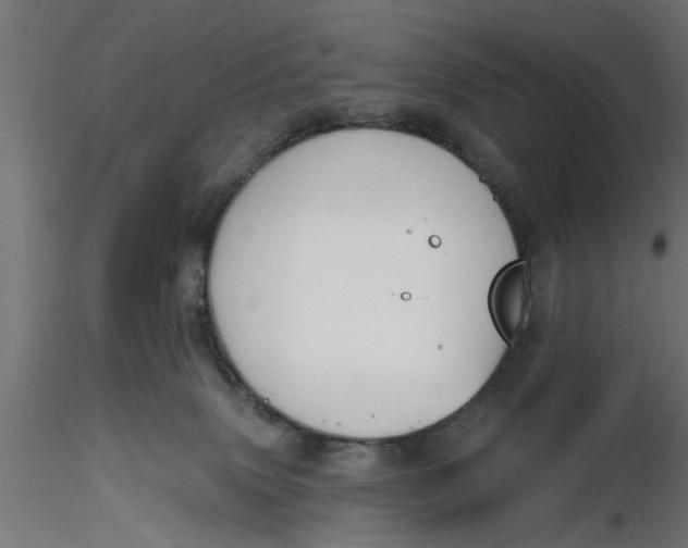 X0000116850083201001051515