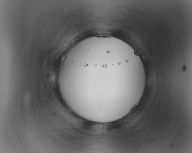 X0000116850084201001051515