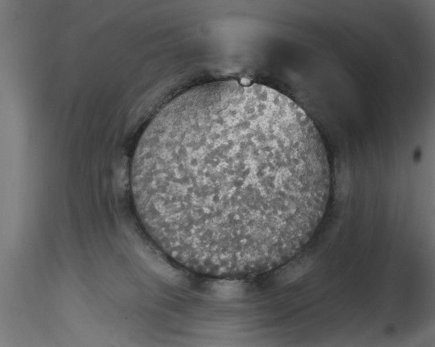 X0000116850085201001051515