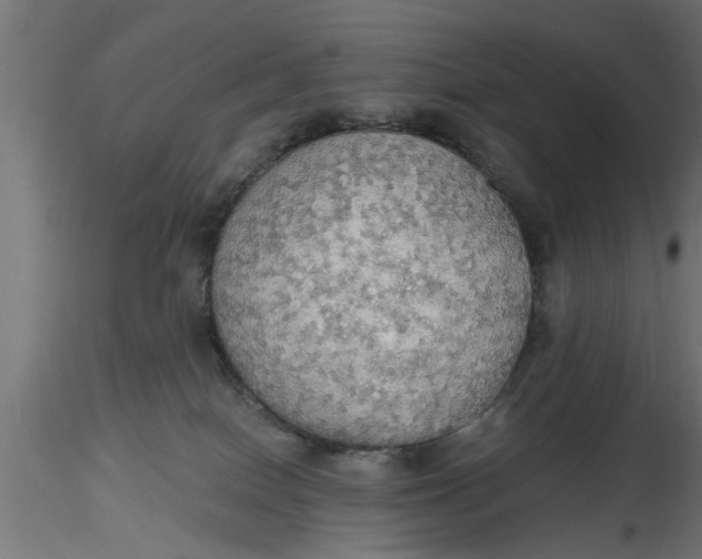 X0000116850086201001051515