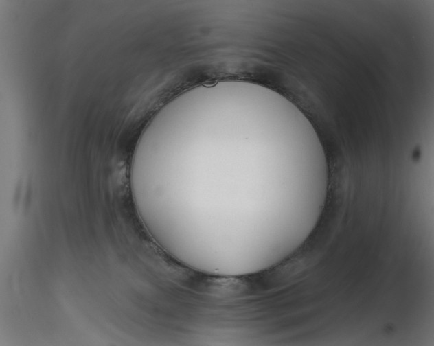 X0000116850087201001051515