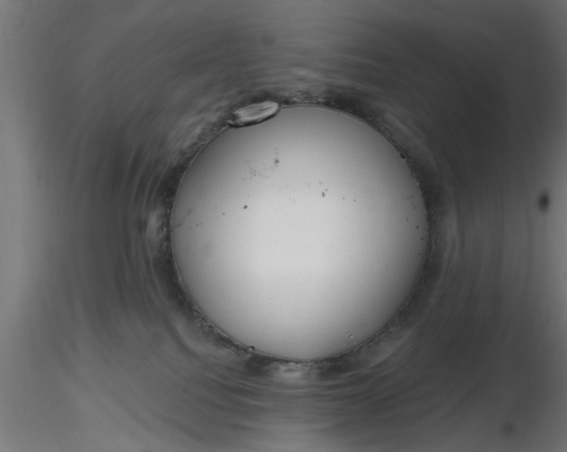 X0000116850088201001051515