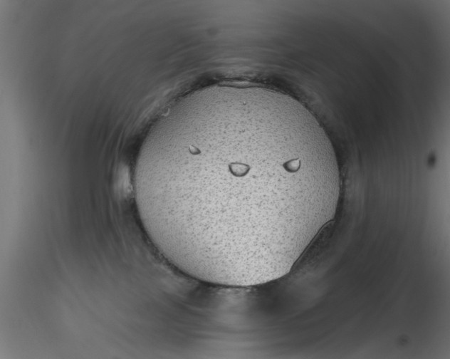 X0000116850089201001051515