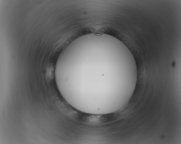 X0000116850090201001051515