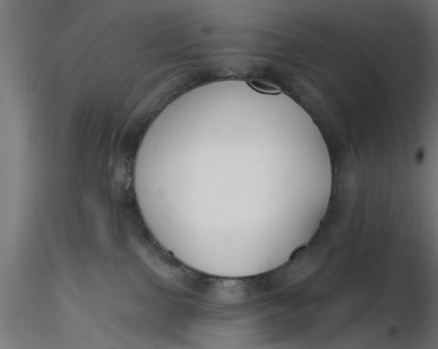 X0000116850091201001051515