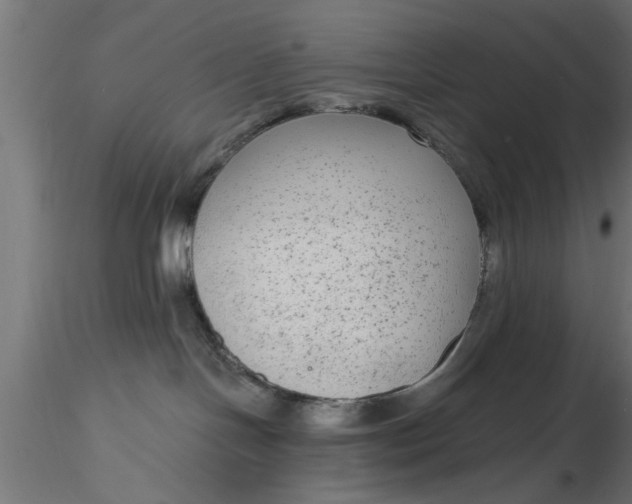 X0000116850094201001051515